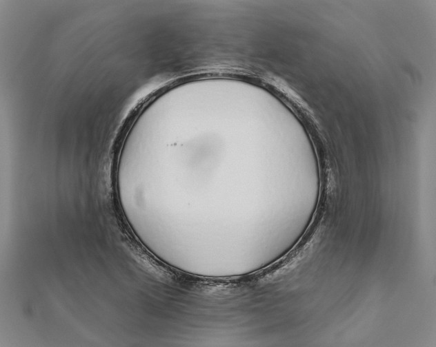 X0000112111222200909011138