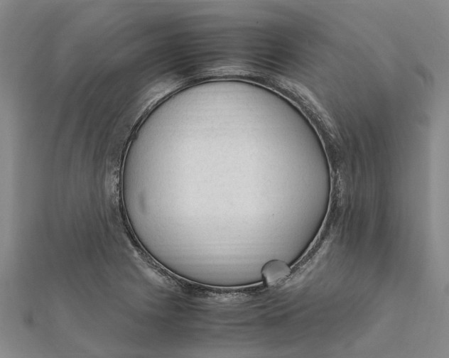 X0000112111225200909011138