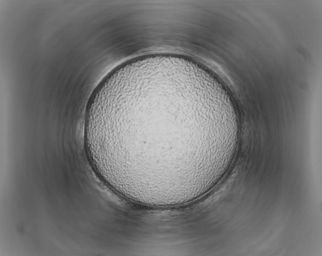 X0000112111228200909011138