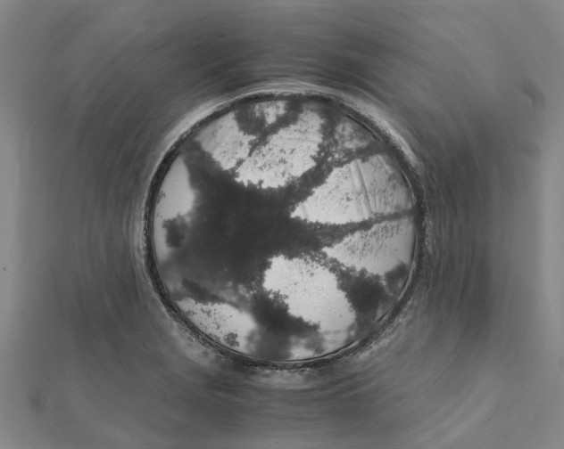 X0000112111229200909011138