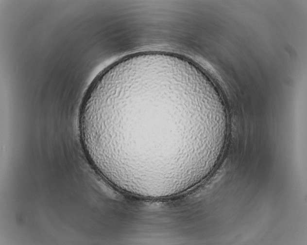 X0000112111230200909011138