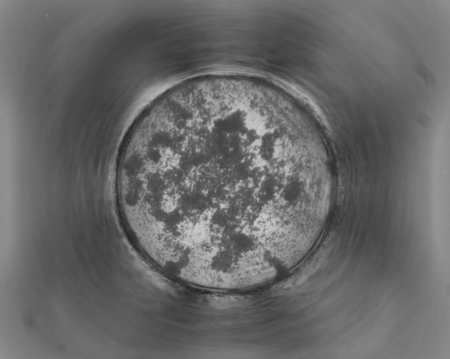 X0000112111231200909011138