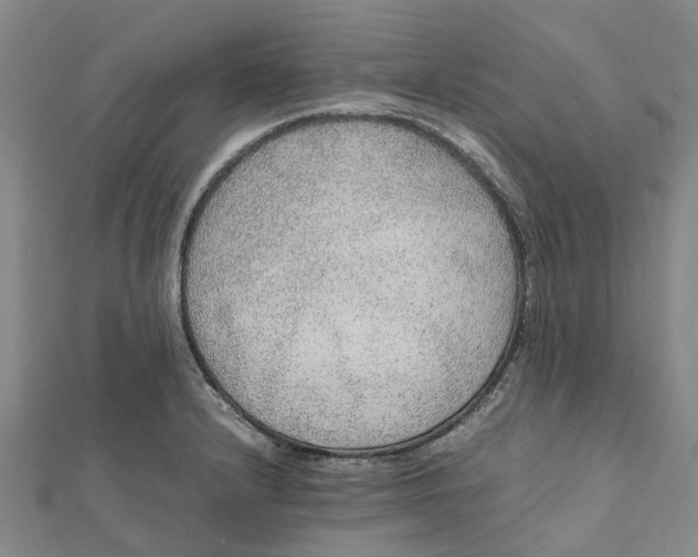 X0000112111232200909011138