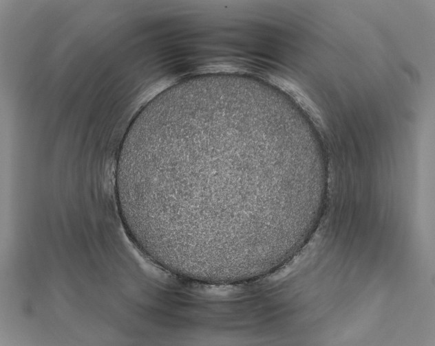 X0000112111233200909011138