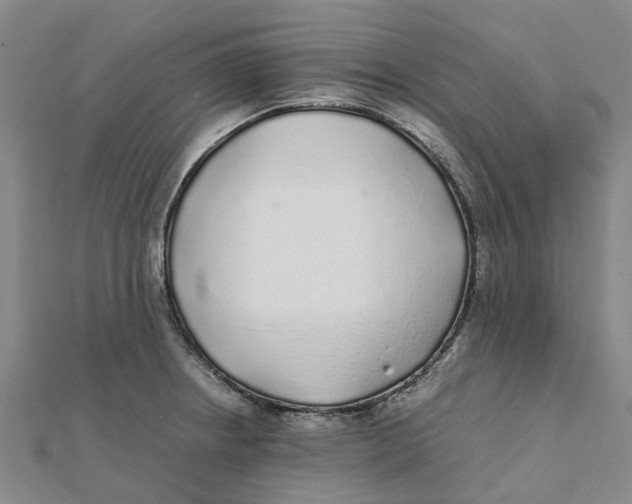 X0000112111234200909011138