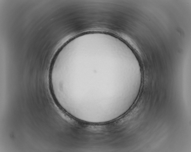 X0000112111237200909011138