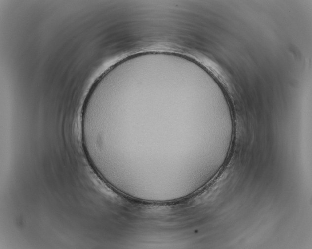 X0000112111238200909011138