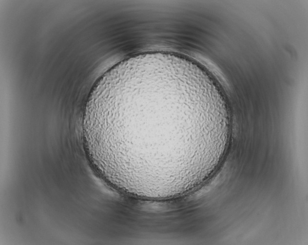 X0000112111241200909011139