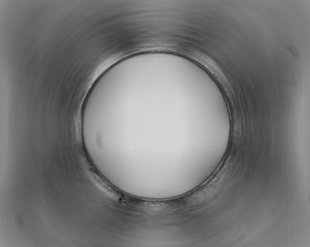 X0000112111242200909011139