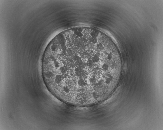 X0000112111243200909011139