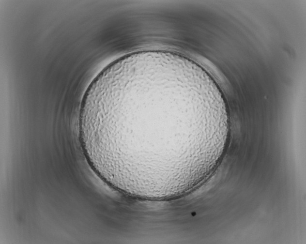 X0000112111244200909011139