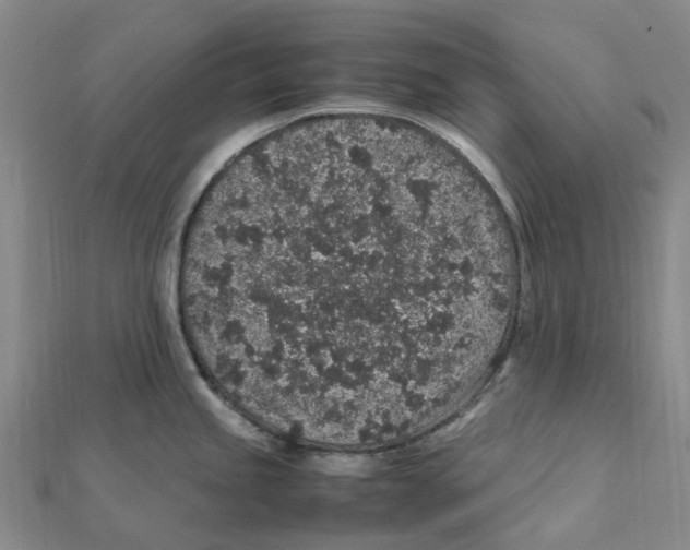 X0000112111245200909011139