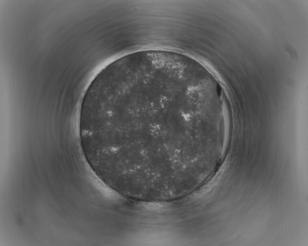 X0000112111246200909011139