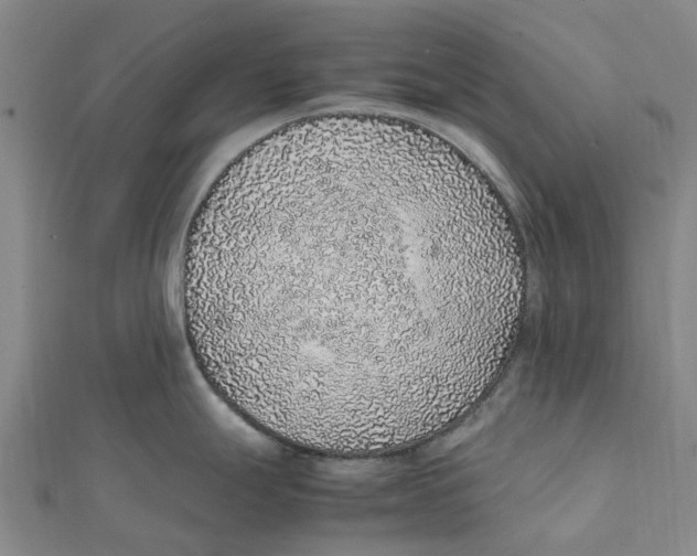 X0000112111247200909011139