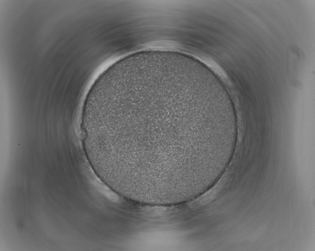 X0000112111248200909011139