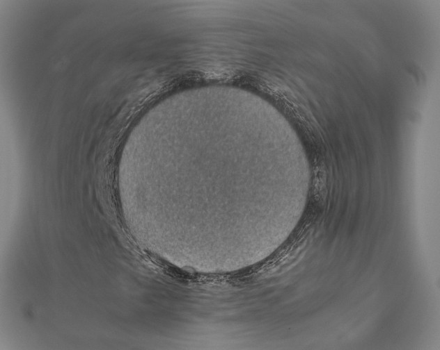 X0000112111249200909011138