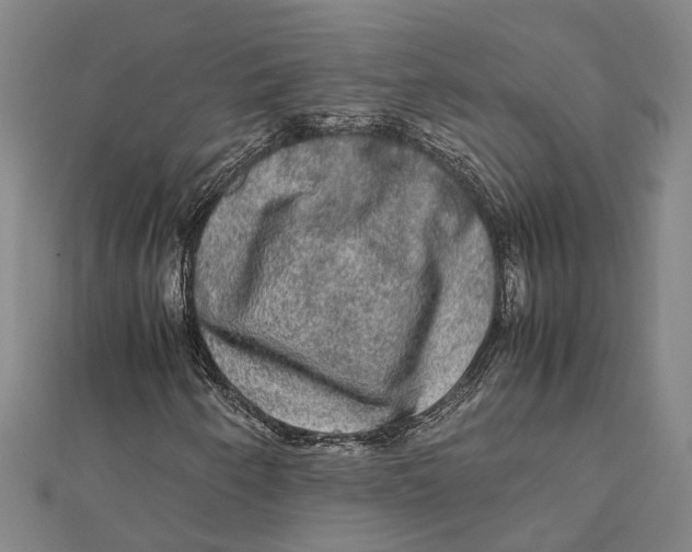 X0000112111250200909011138