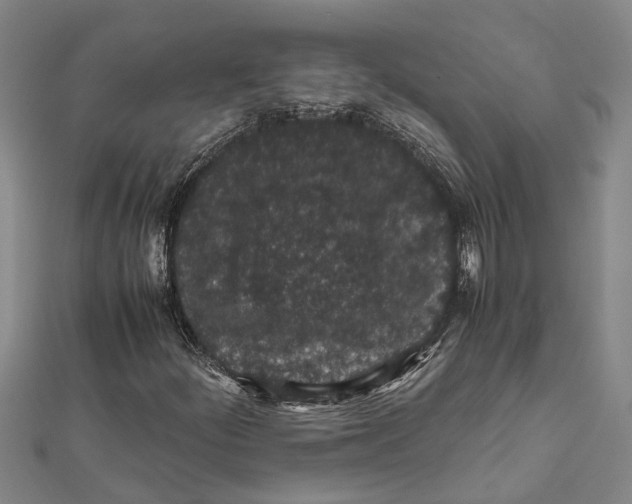 X0000112111252200909011138