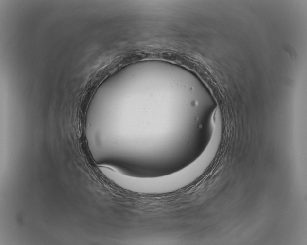 X0000112111253200909011138