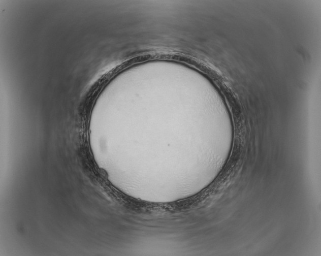 X0000112111255200909011138