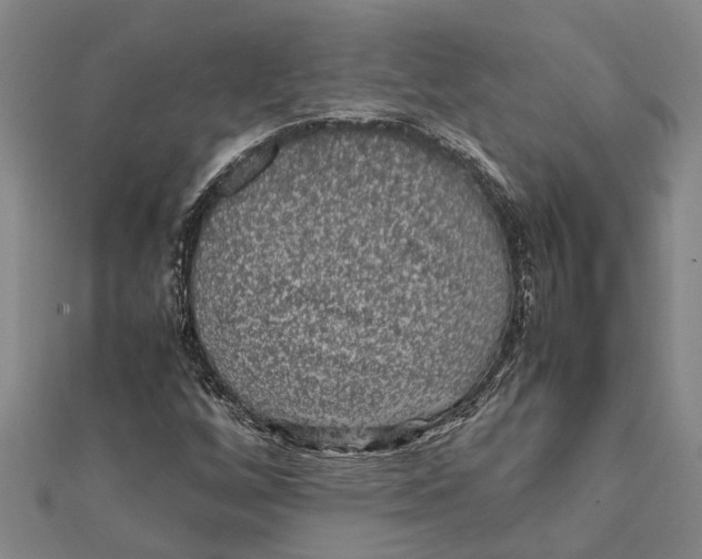 X0000112111256200909011138