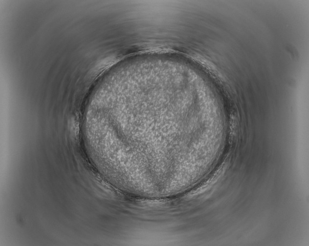 X0000112111257200909011138