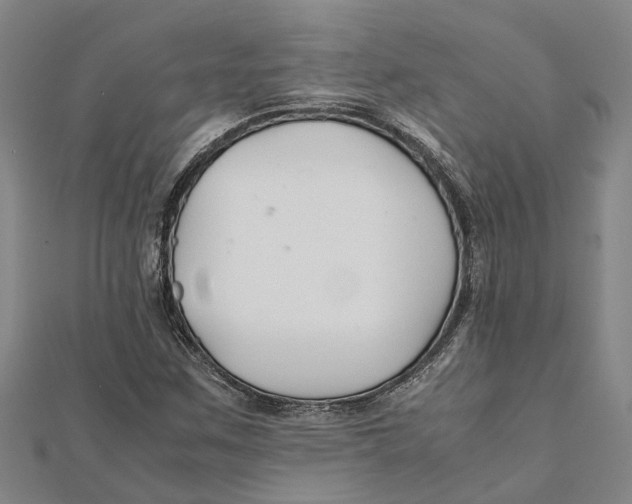 X0000112111259200909011138