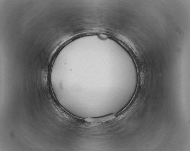 X0000112111260200909011138