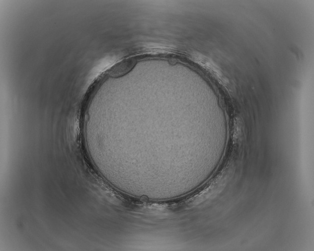 X0000112111261200909011138