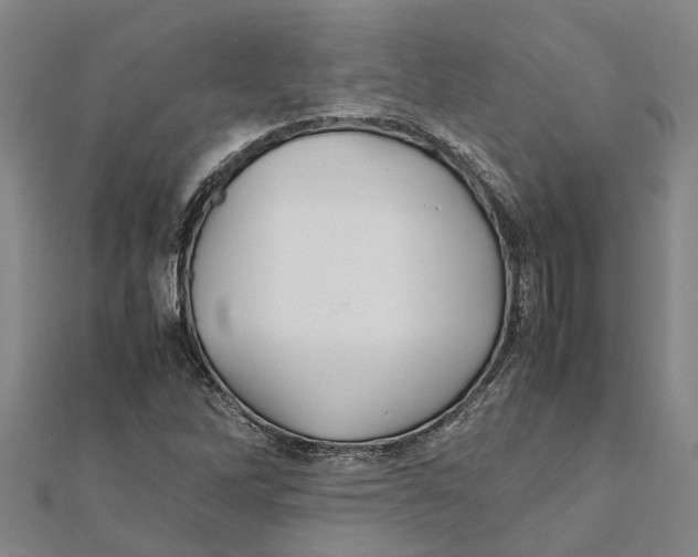 X0000112111262200909011138
