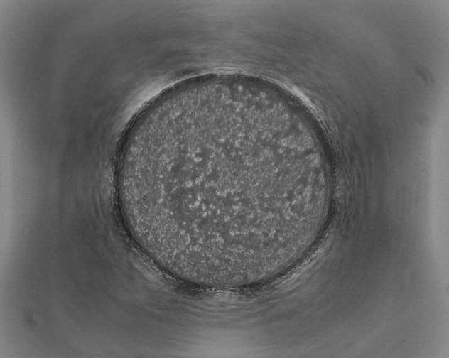 X0000112111263200909011138