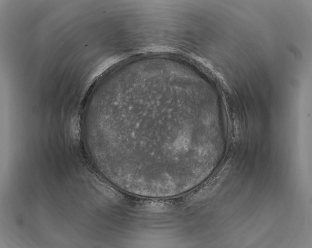 X0000112111266200909011138