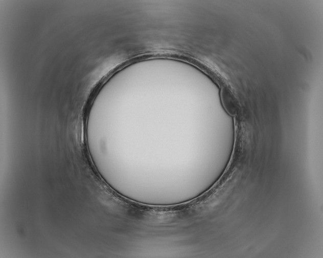 X0000112111269200909011138