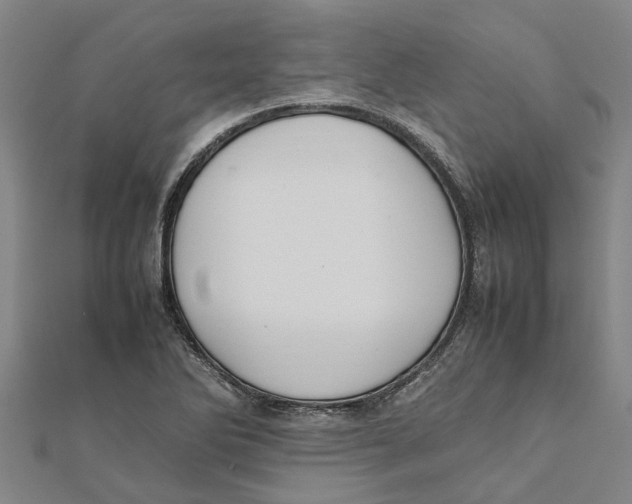 X0000112111270200909011138