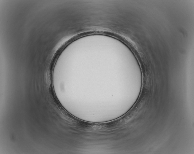 X0000112111271200909011138