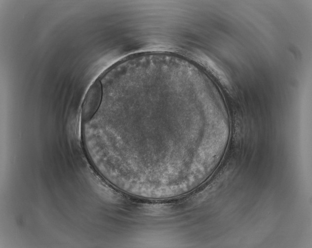 X0000112111276200909011137