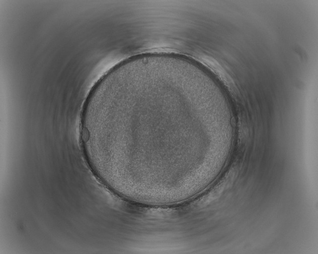 X0000112111277200909011137