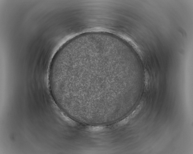 X0000112111278200909011137