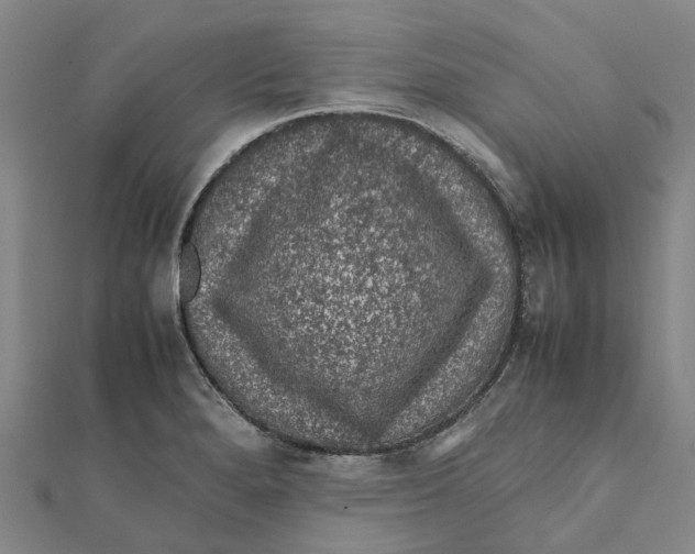X0000112111280200909011137