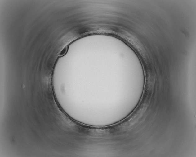X0000112111281200909011137