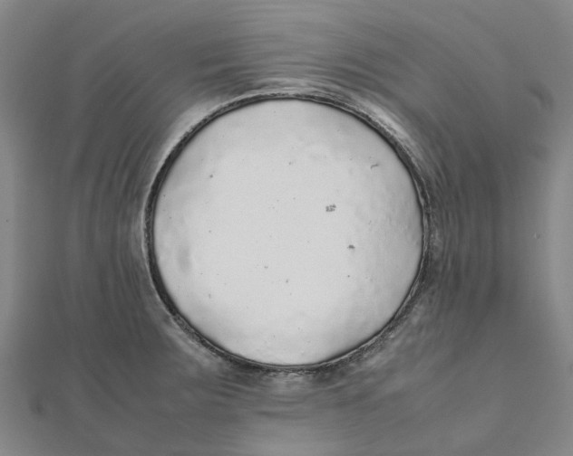 X0000112111283200909011137