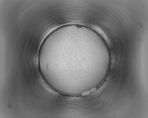X0000112111284200909011137