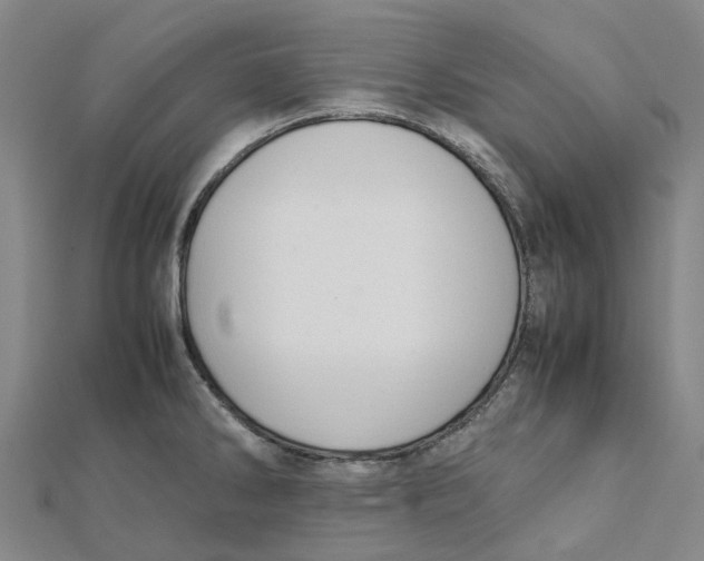 X0000112111286200909011137