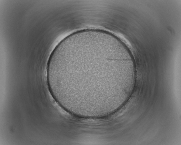 X0000112111287200909011137