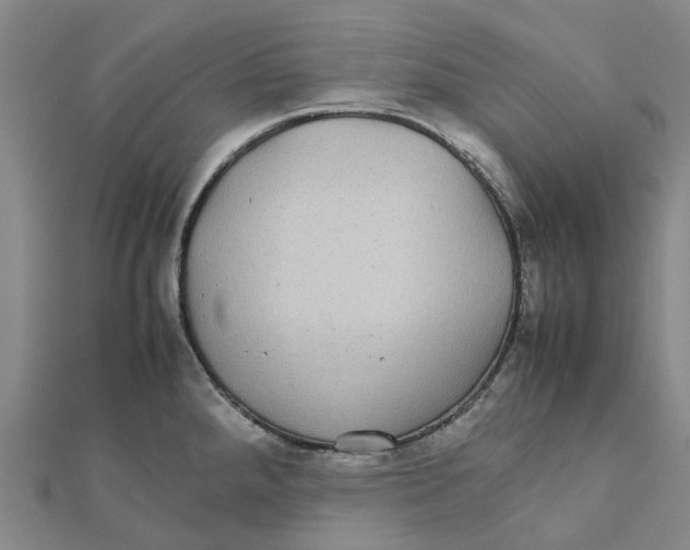 X0000112111288200909011137