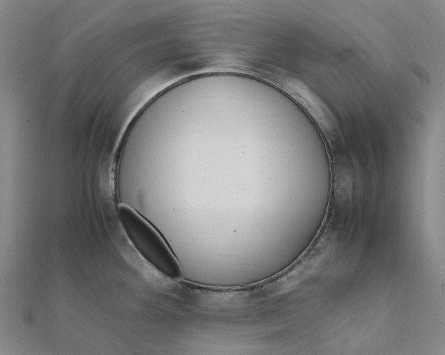 X0000112111292200909011137