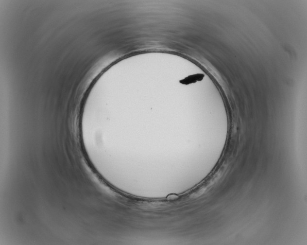 X0000112111293200909011137