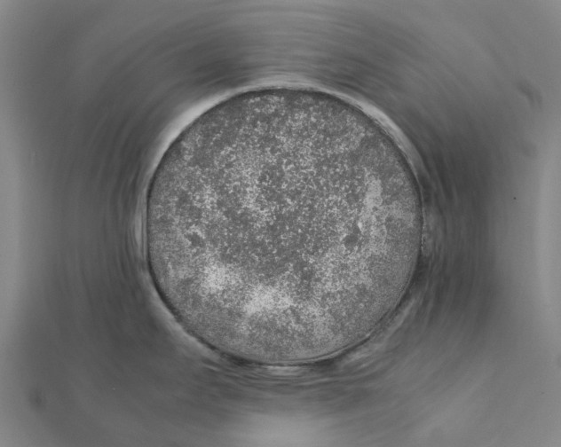 X0000112111295200909011137
