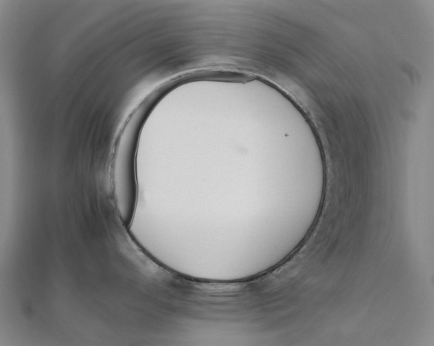 X0000112111296200909011137