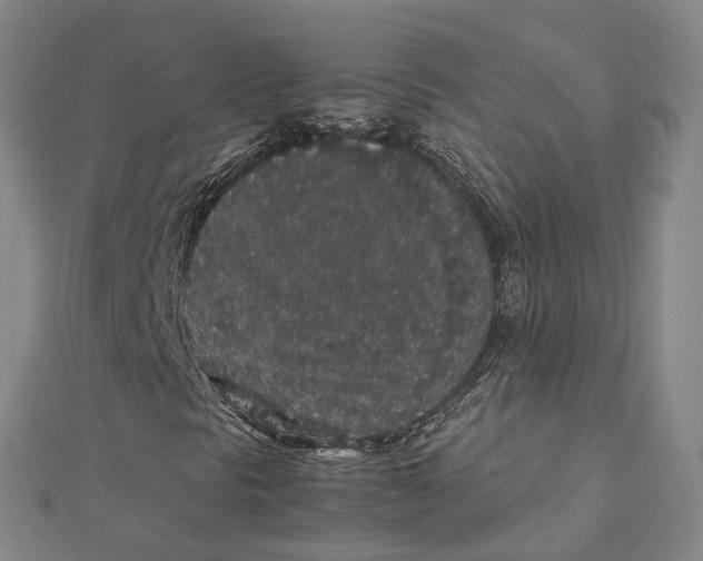 X0000112111297200909011137